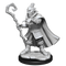 Critical Role Unpainted Miniatures Hobgoblin Wizard and Druid Male