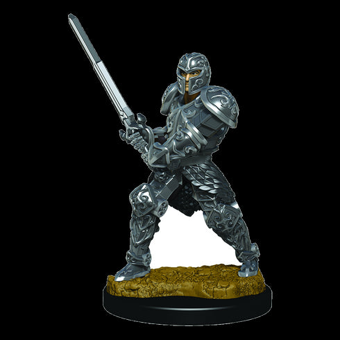 Icons of the Realms: D&D Premium Miniatures Wave 3: Male Human Fighter