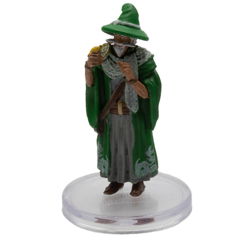 Fizban the Fabulous - Fizban's Treasury of Dragons #33