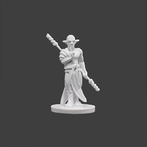 Krakenships Forest Guardian (Firbolg) male monk - Unpainted