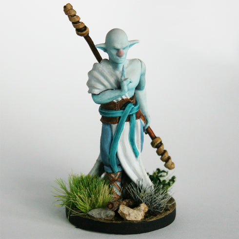 Krakenships Forest Guardian (Firbolg) male monk - Unpainted