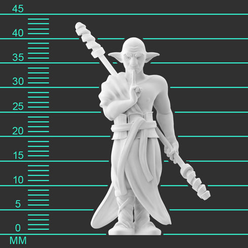 Krakenships Forest Guardian (Firbolg) male monk - Unpainted