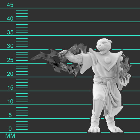 Krakenships Grimalkin (Tabaxi) Sorcerer - Unpainted