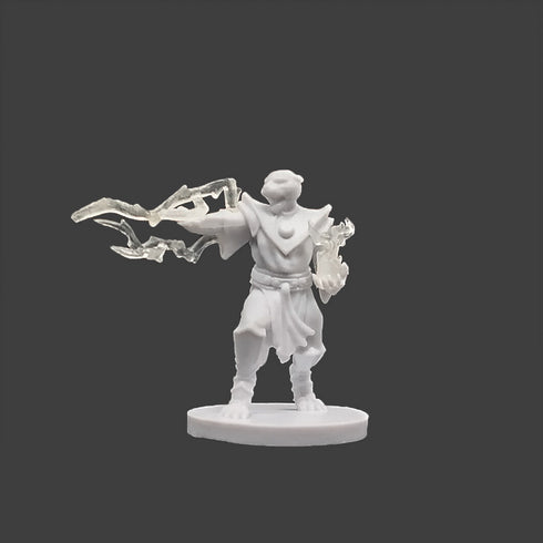 Krakenships Grimalkin (Tabaxi) Sorcerer - Unpainted