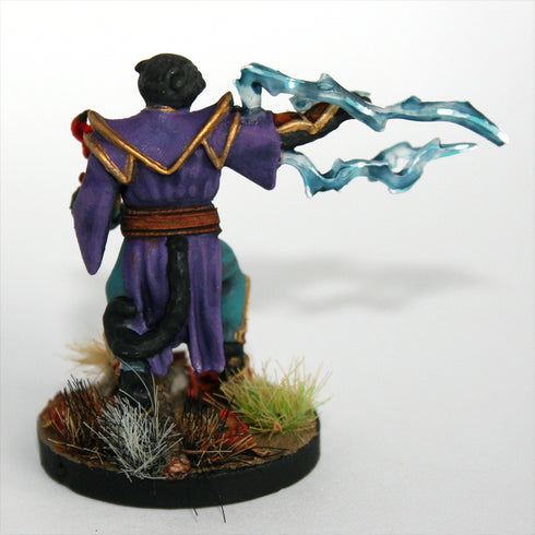 Krakenships Grimalkin (Tabaxi) Sorcerer - Unpainted