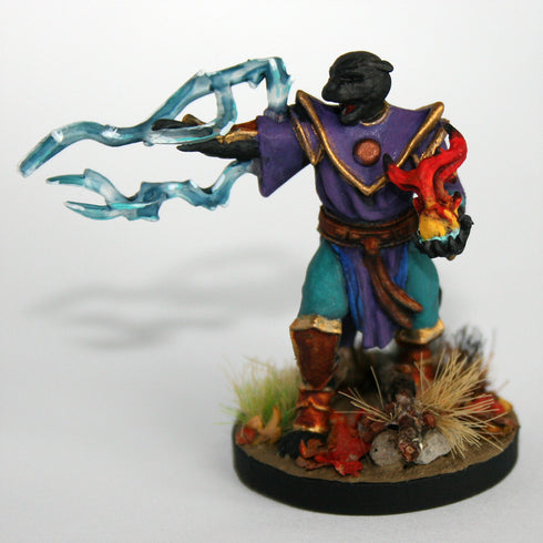 Krakenships Grimalkin (Tabaxi) Sorcerer - Unpainted