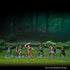 D&D Icons of the Realms Hobgoblin Warband