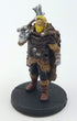 Icons of the Realms: Revised Starter Set - Northlands Fighter