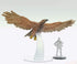 D&D Icons of the Realms Wild Shape & Polymorph Set 2 - 10 - Giant Eagle
