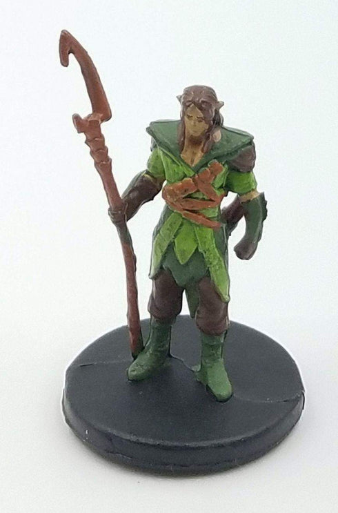 Icons of the Realms: Revised Starter Set - Wood Elf Druid