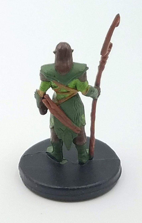 Icons of the Realms: Revised Starter Set - Wood Elf Druid