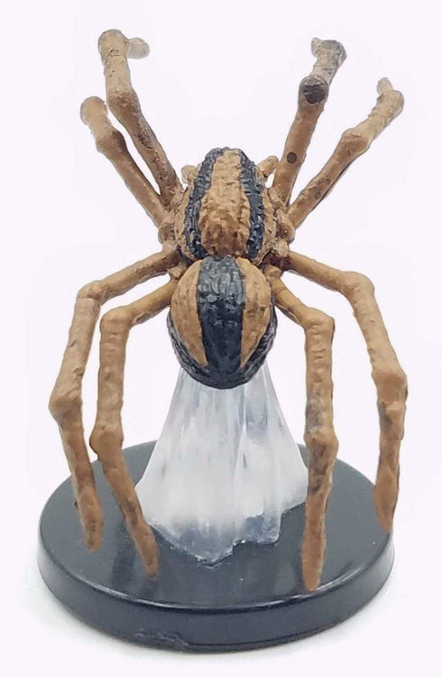 Giant Wolf Spider - Fangs and Talons - Dungeons & Dragons - #8