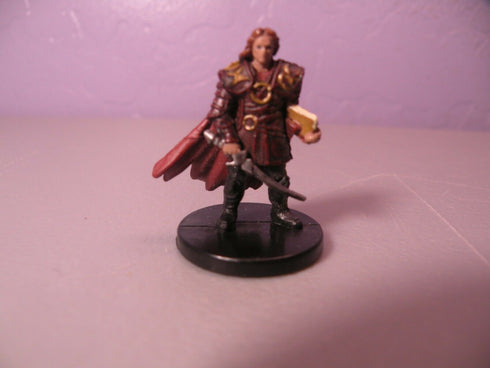 Male Human Swordmage - PHB Heroes: Series 2 - Dungeons & Dragons