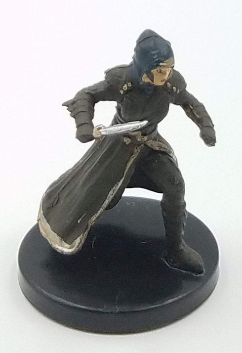 Icons of the Realms Guildmasters Guide to Ravnica Companion Starter One: Human Rogue