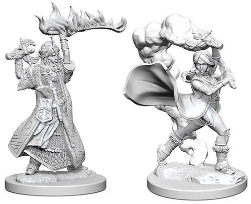 Pathfinder - Unpainted Human Female Cleric