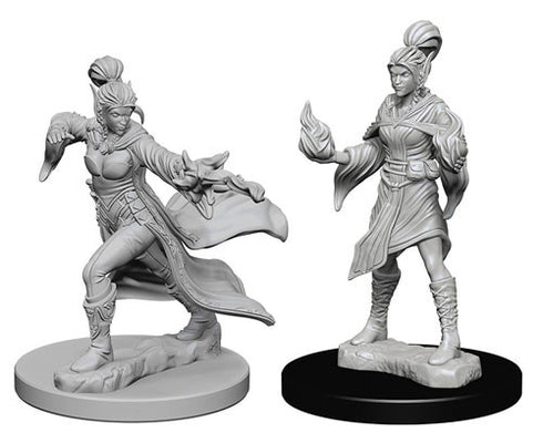 Pathfinder Deep Cuts Unpainted Miniatures Elf Female Sorcerer