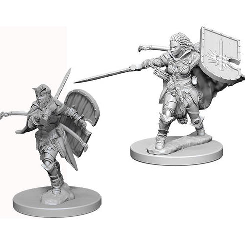 Pathfinder - Unpainted Human Female Paladin