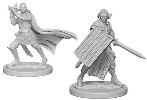 Pathfinder Deep Cuts Unpainted Miniatures Elf Male Paladin