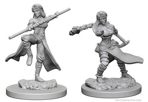 D&D - Unpainted Human Female Monk