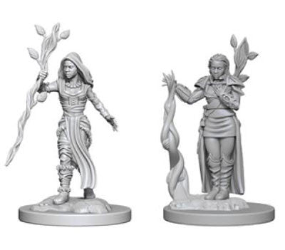 D&D Nolzurs Marvelous Unpainted Miniatures Human Female Druid