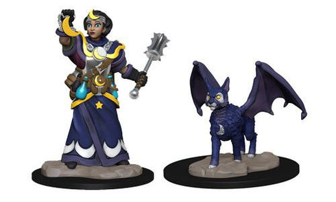 Wardlings - Girl Cleric & Winged Cat Pre-Painted
