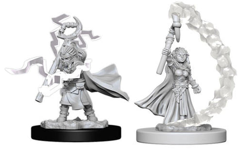 Pathfinder Deep Cuts Unpainted Miniatures Gnome Female Sorcerer