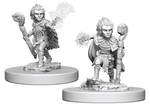 Pathfinder Deep Cuts Unpainted Miniatures Gnome Male Druid