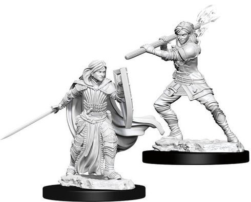 D&D - Unpainted Female Human Paladin