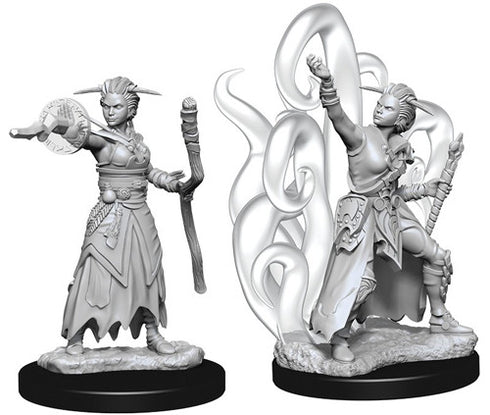 D&D - Unpainted Female Human Warlock