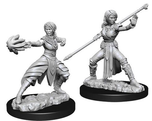 D&D Nolzurs Marvelous Unpainted Miniatures Female Half-Elf Monk