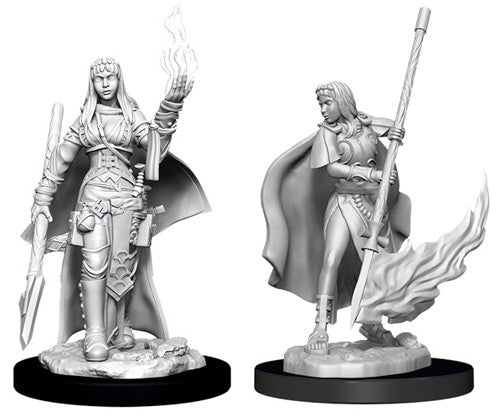 Pathfinder - Unpainted Female Human Oracle (Magic)