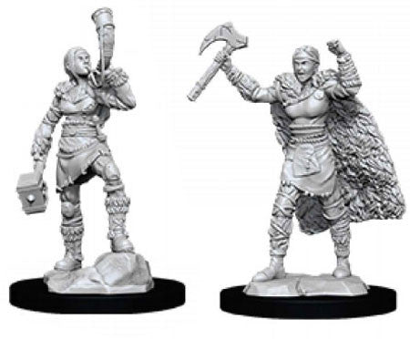 D&D - Unpainted Female Human Barbarian