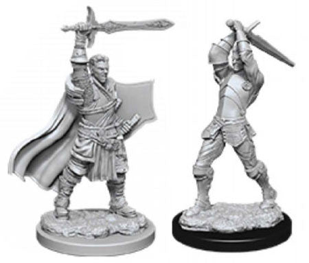 D&D Nolzurs Marvelous Unpainted Miniatures Male Human Paladin