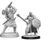 D&D Nolzurs Marvelous Unpainted Miniatures Human Barbarian Male