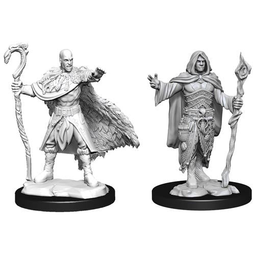 D&D - Unpainted Human Druid Male