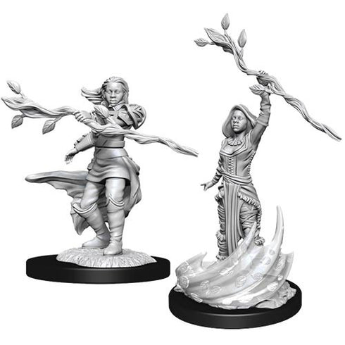 D&D Nolzurs Marvelous Unpainted Miniatures Human Druid Female
