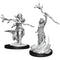 D&D Nolzurs Marvelous Unpainted Miniatures Human Druid Female