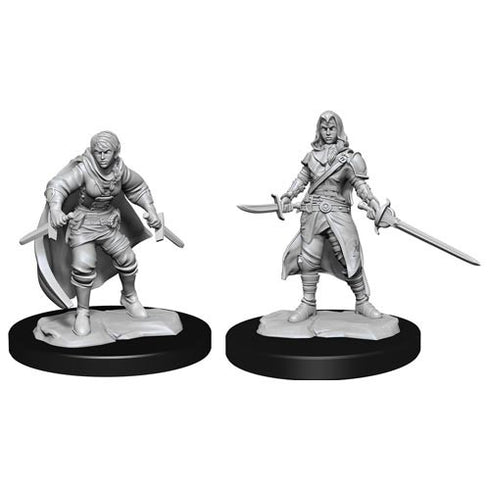 D&D Nolzurs Marvelous Unpainted Miniatures Half-Elf Rogue Female