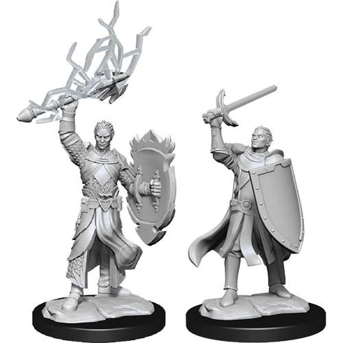 D&D Nolzurs Marvelous Unpainted Miniatures Half-Elf Paladin Male