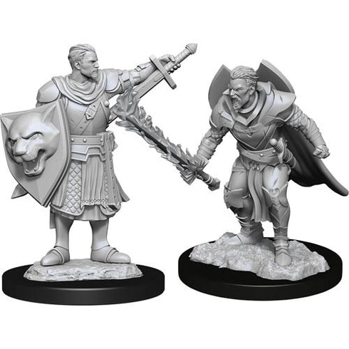 Pathfinder - Unpainted Human Champion Male