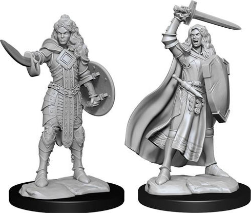 Pathfinder - Unpainted Human Champion Female