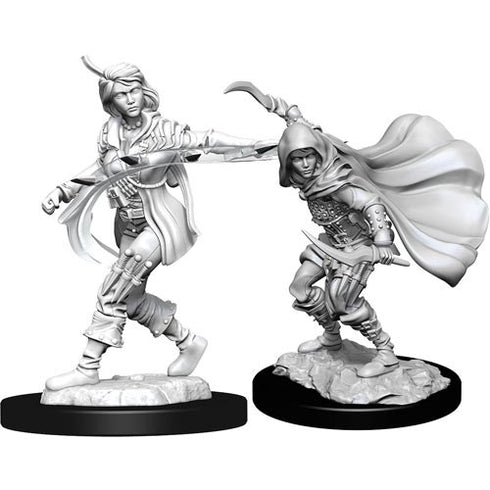 Pathfinder - Unpainted Human Rogue Female