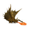Dungeons & Dragons Adult Gold Dragon Premium Figure
